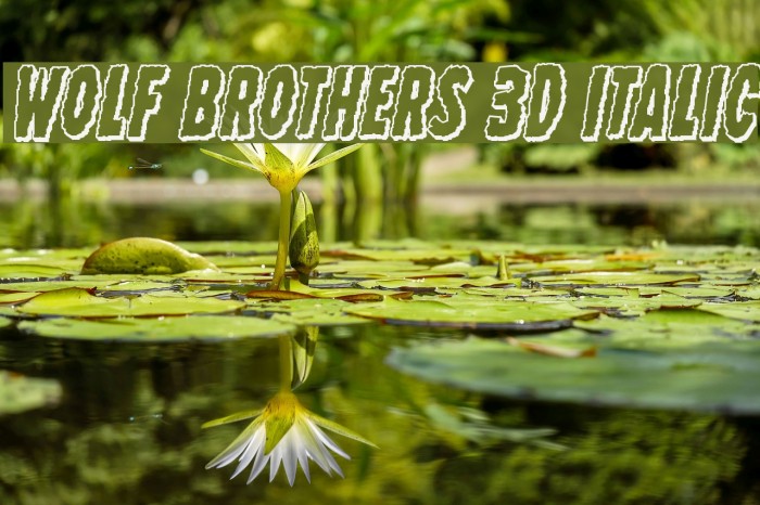 Wolf Brothers 3D Italic لخطوط تنزيل examples