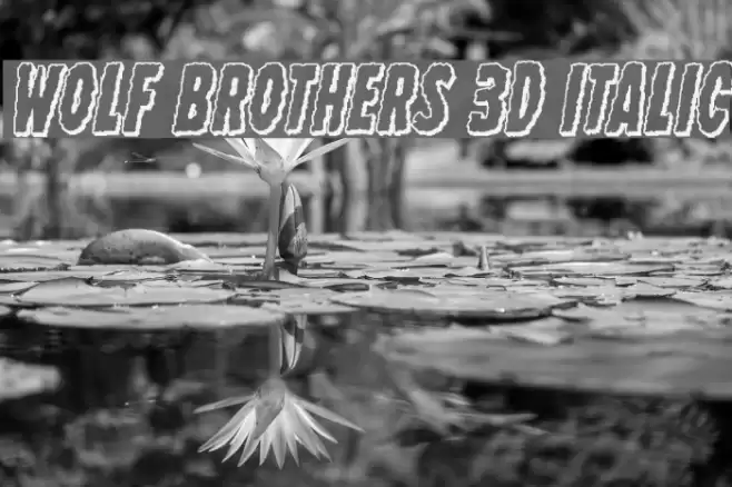 Wolf Brothers 3D Italic Font examples
