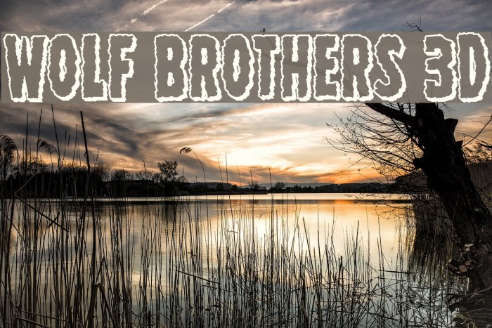 Wolf Brothers 3D Font examples