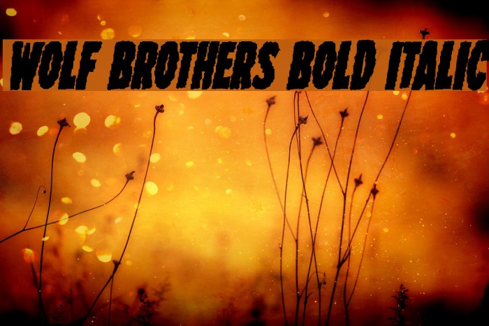 Wolf Brothers Bold Italic Font examples