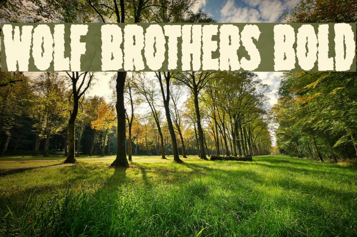 Wolf Brothers Bold Font examples