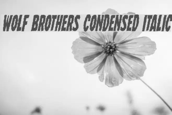 Wolf Brothers Condensed Italic Font examples