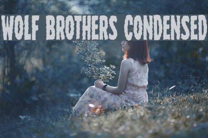 Wolf Brothers Condensed لخطوط تنزيل examples