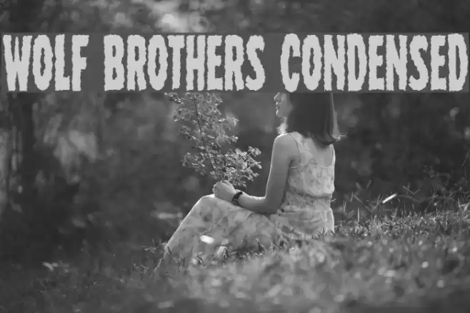 Wolf Brothers Condensed خط examples