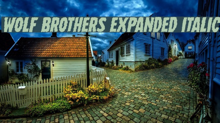 Wolf Brothers Expanded Italic Font examples