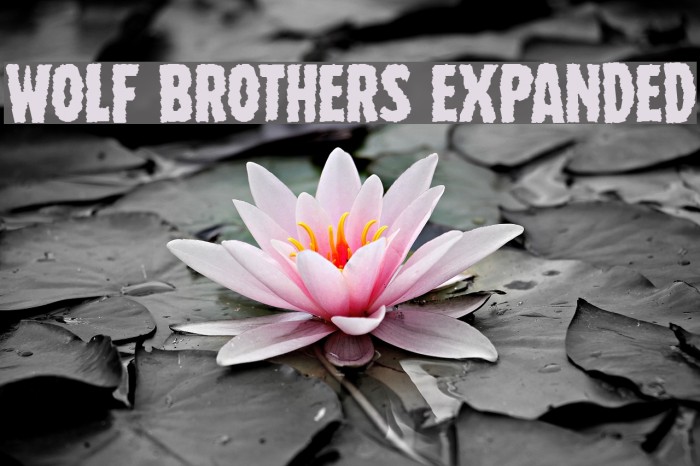 Wolf Brothers Expanded Font examples