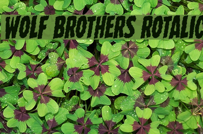 Wolf Brothers Rotalic Font examples