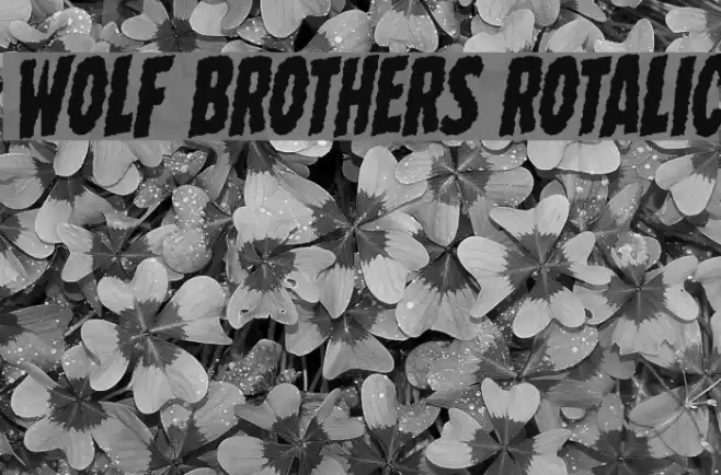 Wolf Brothers Rotalic خط examples