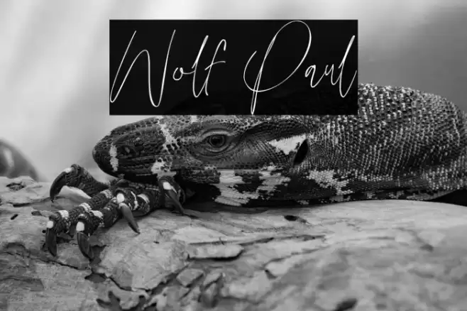 Wolf Paul Font examples