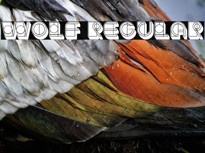 Wolf Regular Example 1
