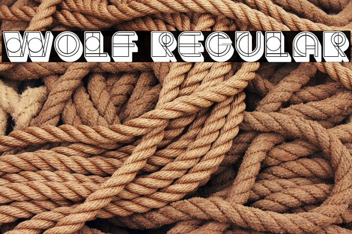 Wolf Regular Example 2