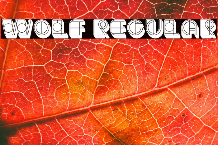 Wolf Regular Example 3