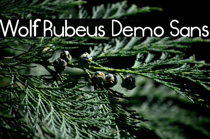 Wolf Rubeus Demo Sans Example 2