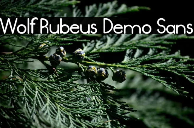 Wolf Rubeus Demo Sans Example 2