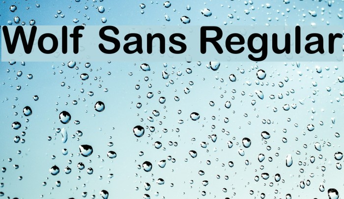 Wolf Sans Regular Font examples