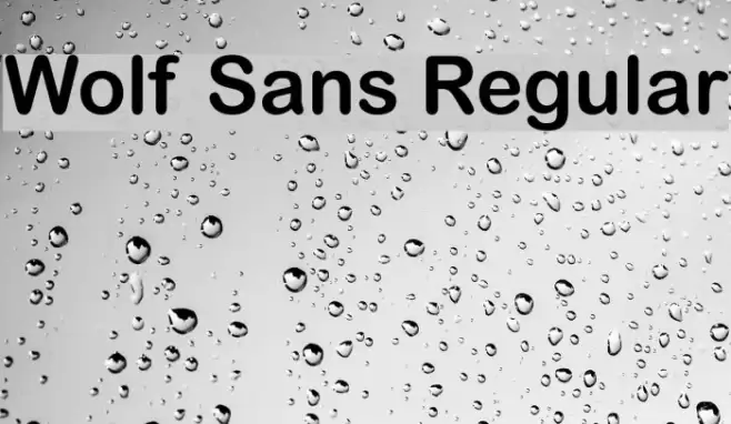 Wolf Sans Regular  examples