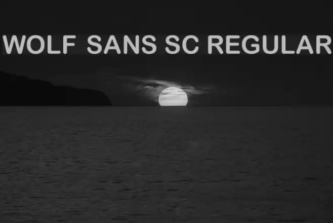 Wolf Sans SC Regular Font examples