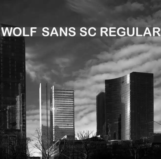 Wolf Sans SC Regular Font examples
