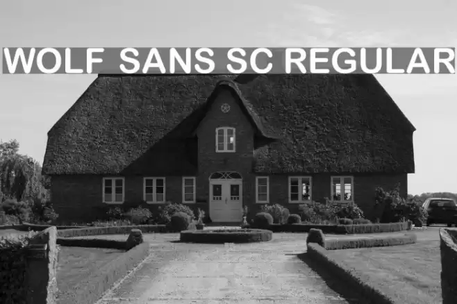 Wolf Sans SC Regular Font examples