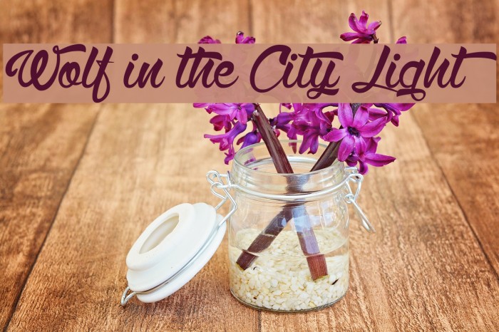 Wolf in the City Light Font examples