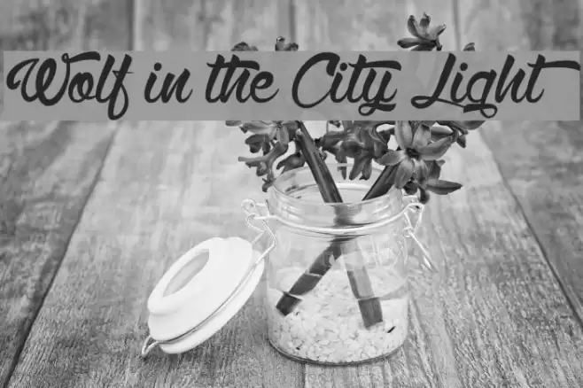 Wolf in the City Light Font examples