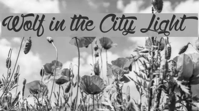 Wolf in the City Light Font examples