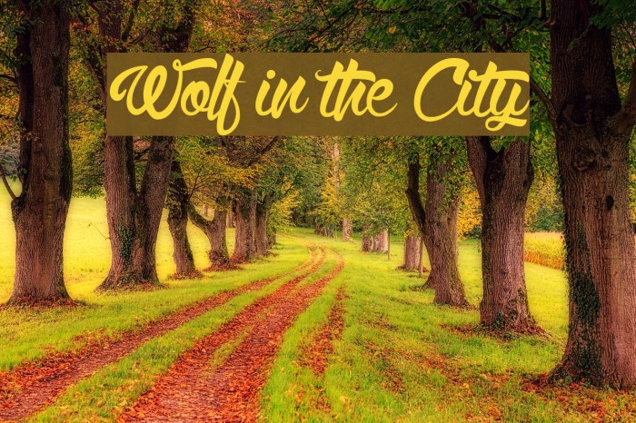 Wolf in the City Font examples