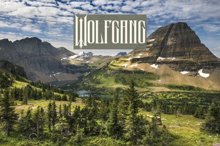 Wolfgang Font examples