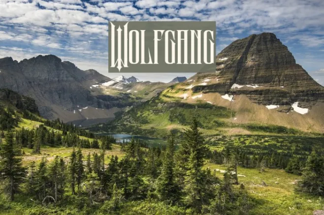 Wolfgang Example 2