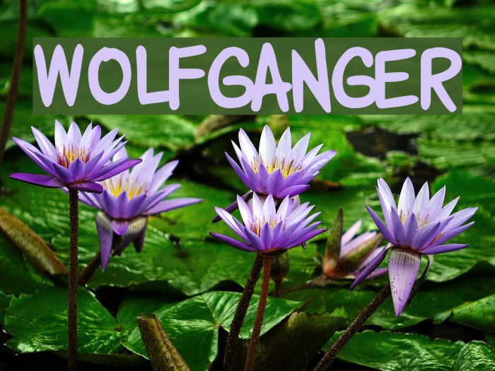 Wolfganger Font examples