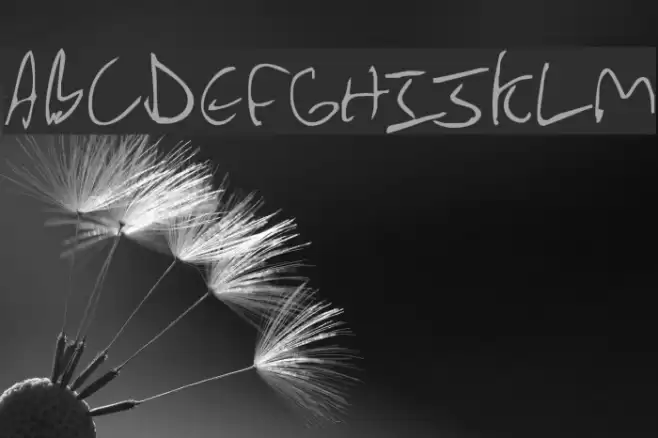 WolfieBoy Font examples