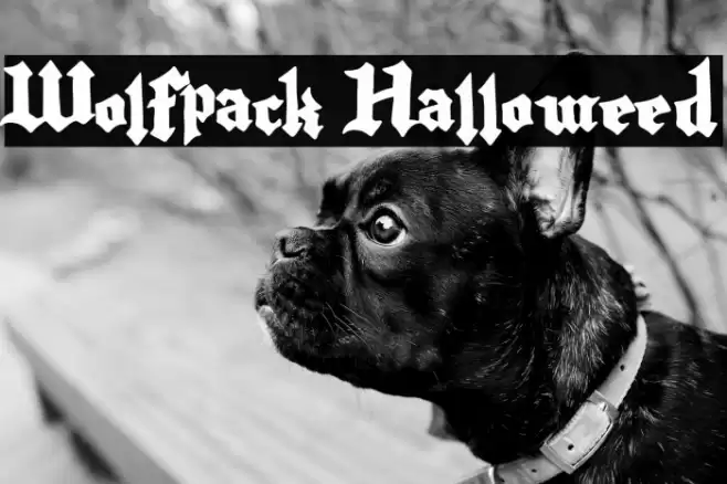 Wolfpack Halloweed Font examples