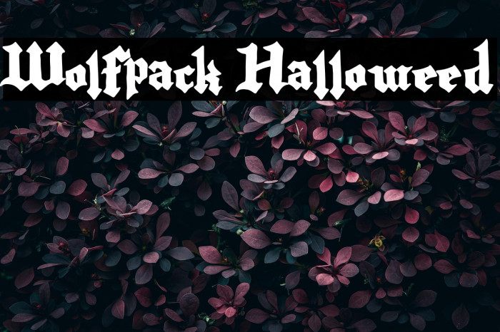 Wolfpack Halloweed Example 3