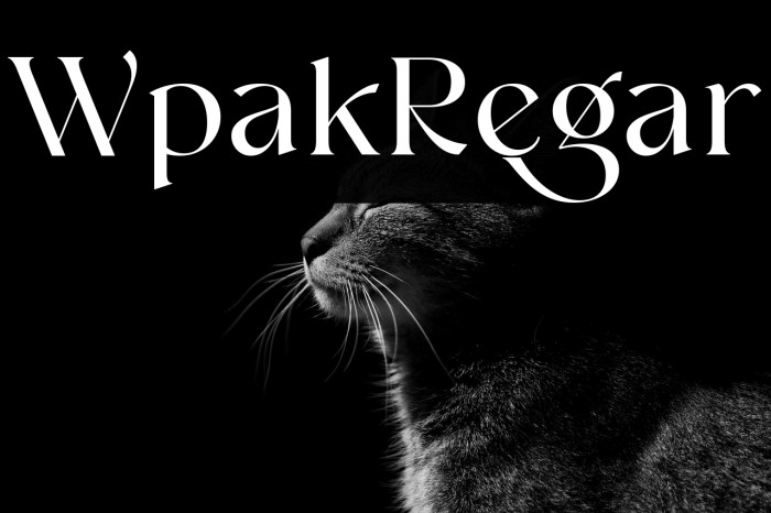 Wolfpack Regular Example 1