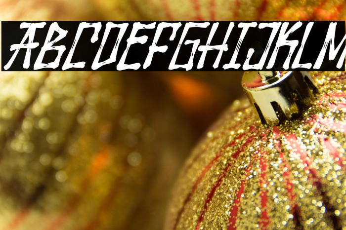 Wolfraid Italic Example 1