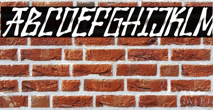 Wolfraid Italic Example 3