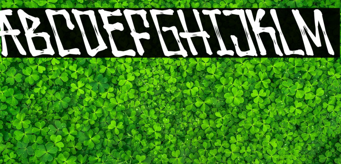 Wolfraid Oblique Example 3