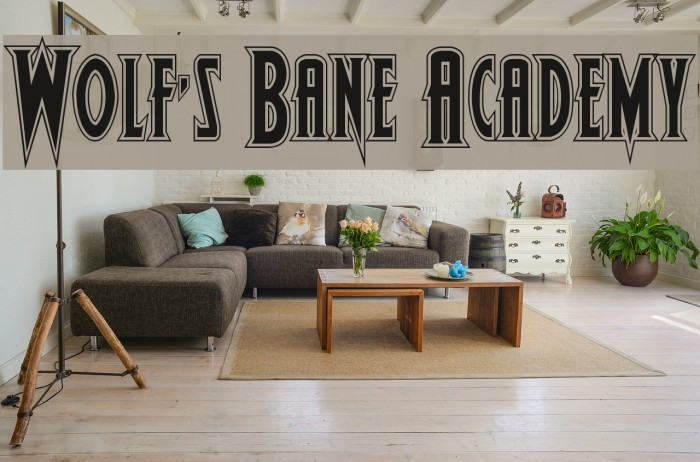 Wolf's Bane Academy Example 1