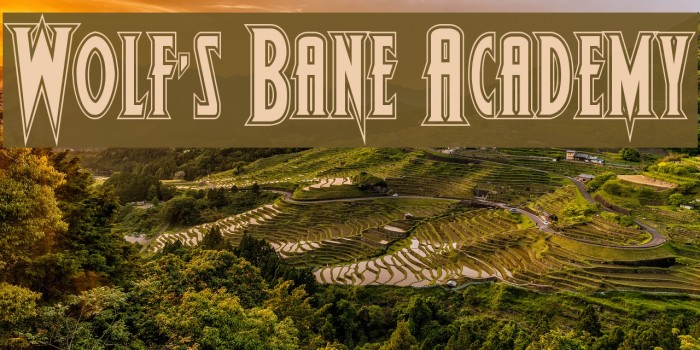 Wolf's Bane Academy Example 3