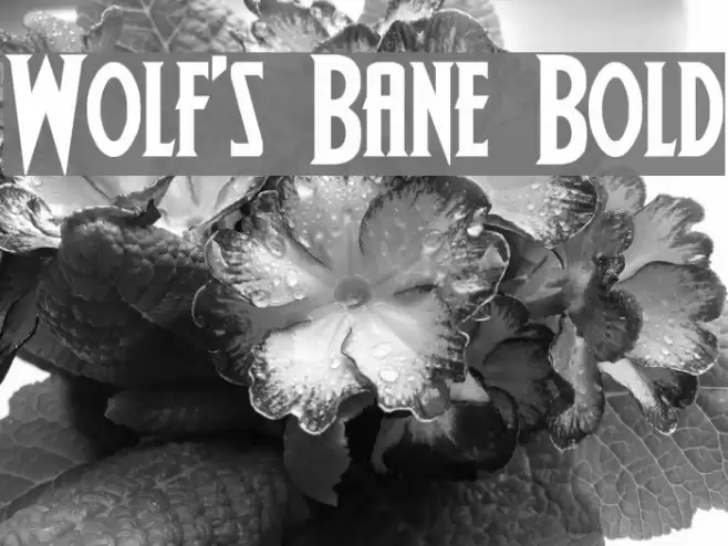 Wolf's Bane Bold Font examples