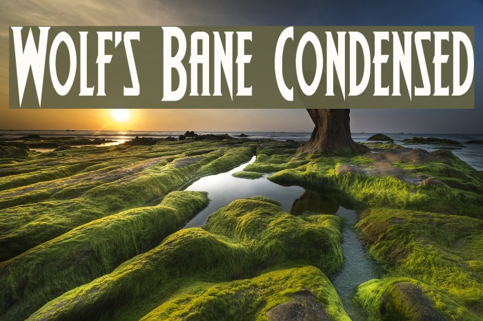 Wolf's Bane Condensed Font examples