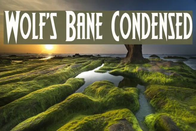 Wolf's Bane Condensed Example 3
