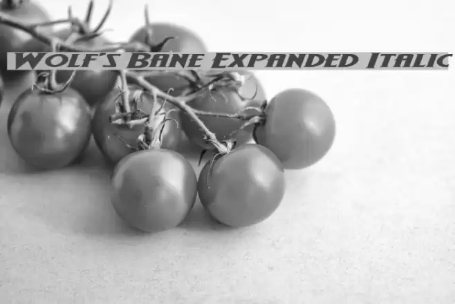 Wolf's Bane Expanded Italic Font examples