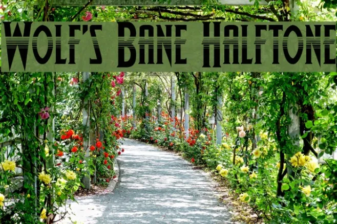 Wolf's Bane Halftone Example 3