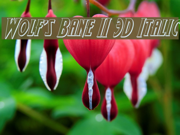 Wolf's Bane II 3D Italic Шрифта examples