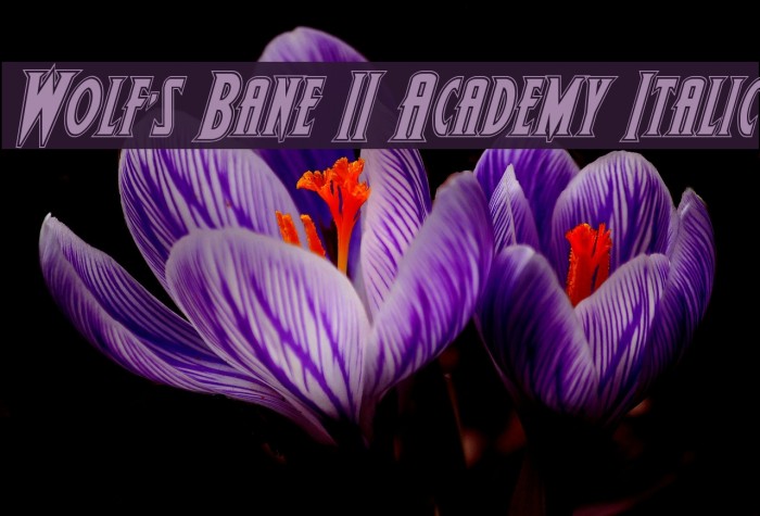 Wolf's Bane II Academy Italic Font examples