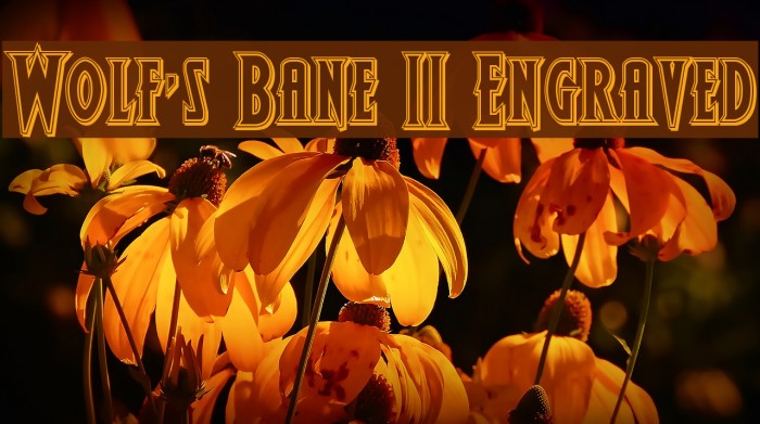 Wolf's Bane II Engraved Font examples