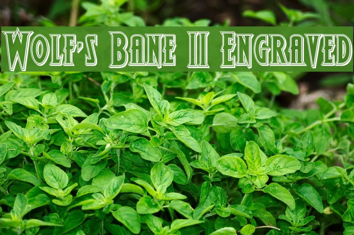 Wolf's Bane II Engraved Font examples