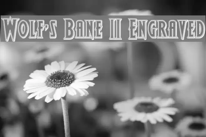 Wolf's Bane II Engraved Font examples