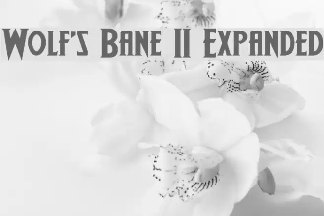 Wolf's Bane II Expanded Font examples